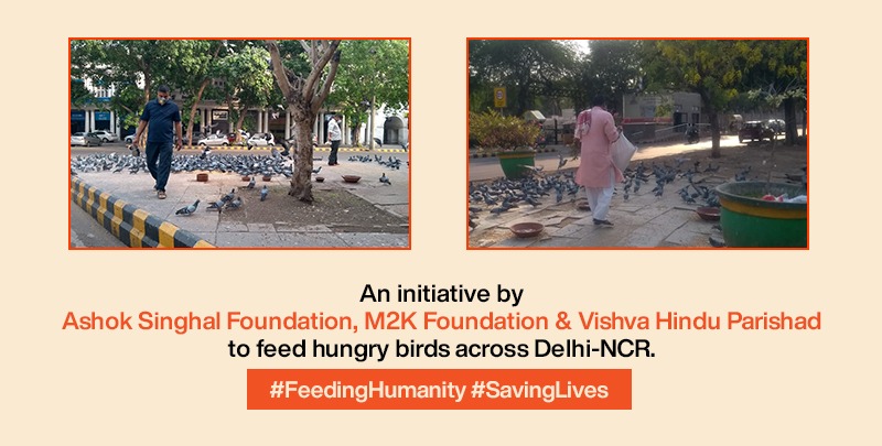 दिल्ली-एनसीआर में भूखे पक्षियों को दाना और पानी उपलब्ध कराया  2020